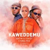 Nina Roz ft.Hatim and Dokey,